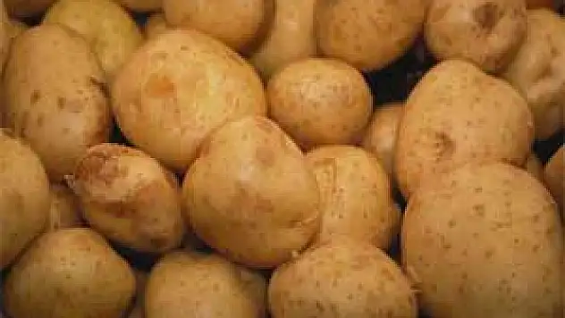 Patatesin Kilosu 5 Liraya Doğru Çıkıyor