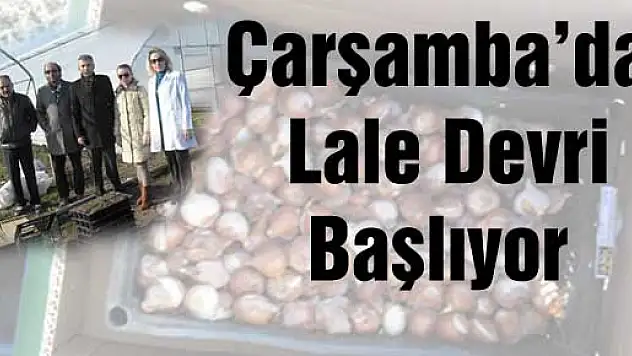 Çarşamba'da Lale Devri Başlıyor