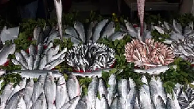 Balık Fiyatları Tavan Yaptı