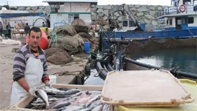 Kültür Balığı Üreticileri Dertli