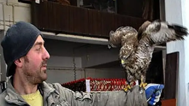 Atölyede Şahin Besliyor