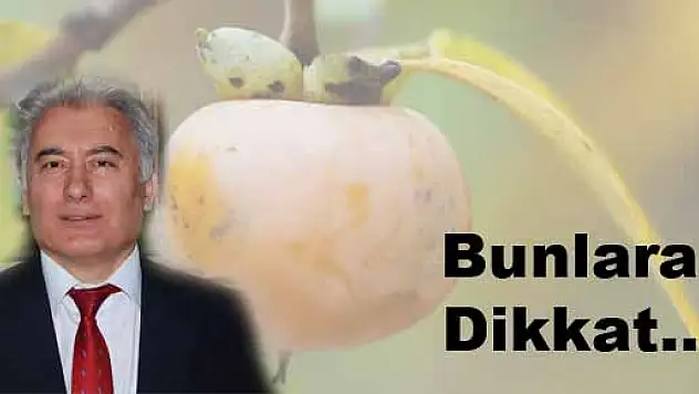 Sindirim Sorunu Bulunanlar Dikkat!