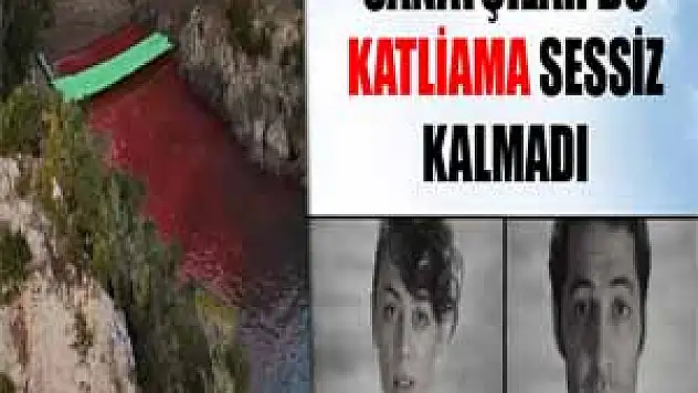 Sanatçılar 'yunus katliamına' sessiz kalmadı