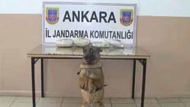 Jandarmadan Uyuşturucu Operasyonu