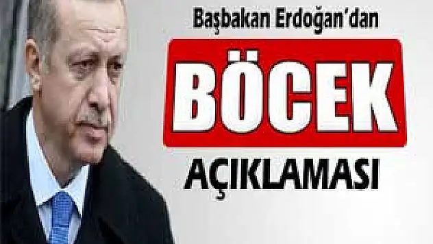 Başbakan Erdoğan'dan 'böcek' açıklaması