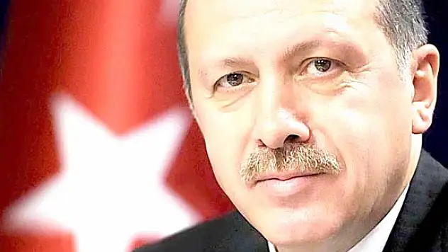 Başbakan Erdoğan'dan 'böcek' açıklaması