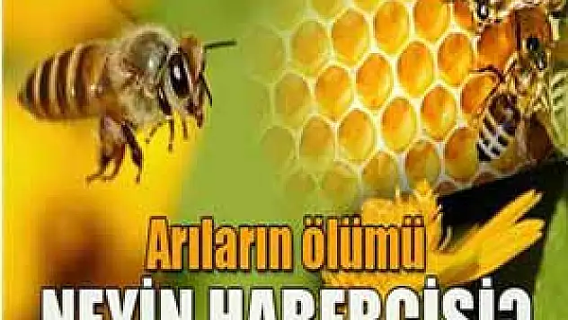 Arıların ölümü neyin habercisi?