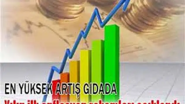 Yılın ilk enflasyon rakamları açıklandı