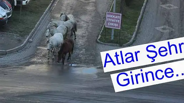 YILKILAR Şehre inince...