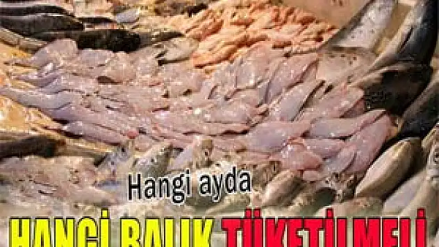 Hangi balık hangi ayda tüketilmeli?