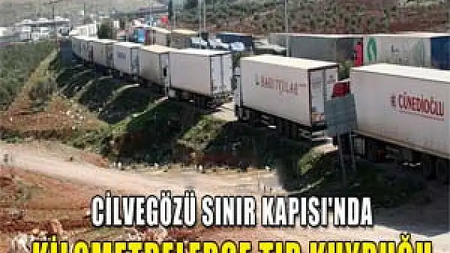  TIR kuyruğu 70 kilometreyi buldu