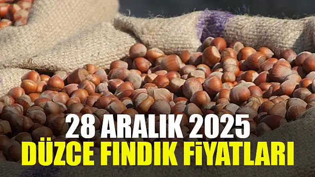 28 Aralık Düzce Fındık Fiyatları Açıklandı