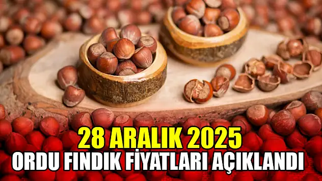 28 Aralık Ordu Fındık Fiyatları Açıklandı