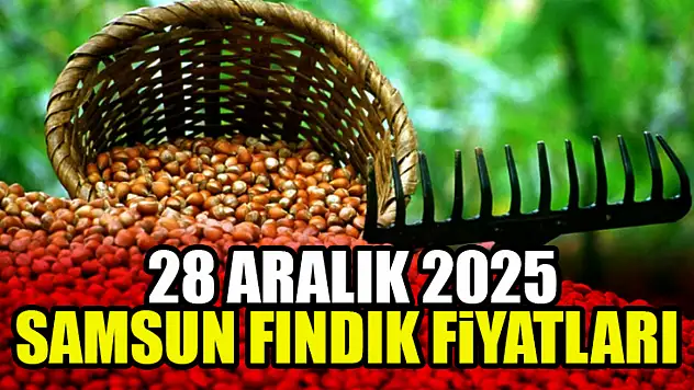 28 Aralık Samsun Fındık Fiyatları
