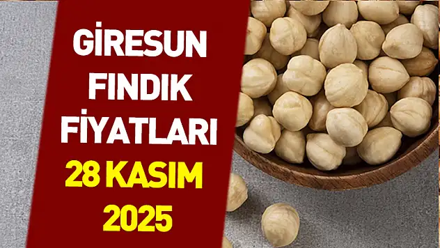 28 Kasım 2025 Giresun Fındık Fiyatları