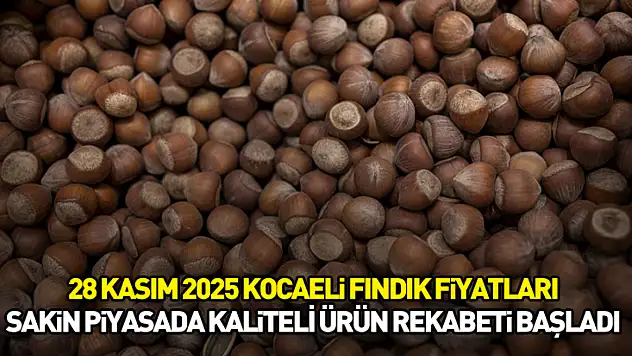 28 Kasım 2025 Kocaeli Fındık Fiyatları | Sakin Piyasada Kaliteli Ürün Rekabeti Başladı