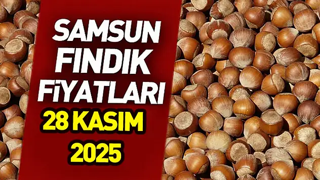 28 Kasım 2025 Samsun Fındık Fiyatları | Piyasada Yükseliş İnadı Güçleniyor