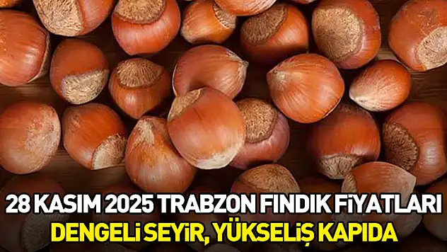 28 Kasım 2025 Trabzon Fındık Fiyatları | Dengeli Seyir, Yükseliş Kapıda