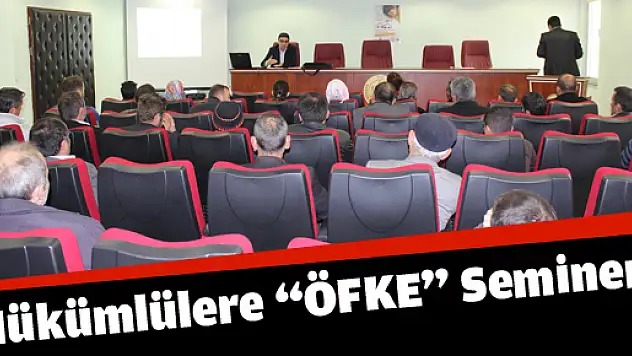 DENETİMLİ SERBESTLİK'TEN 'ÖFKE' KONFERANSI