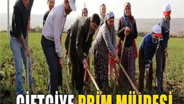 Çiftçiye 77 milyon liralık prim müjdesi