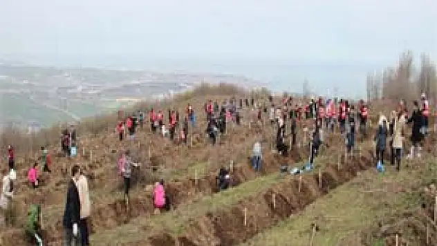 Öğrenciler 300 Fidan Dikti 
