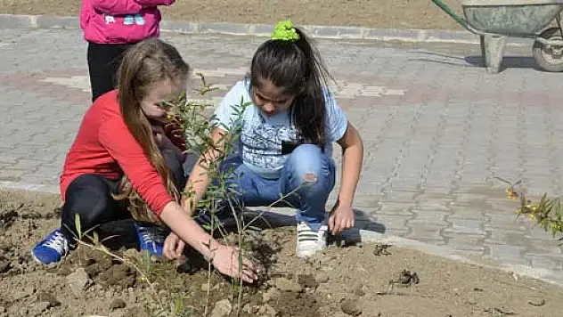  Gençler Fidan dikerek Orman Haftasını kutladı