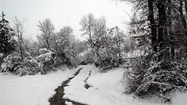 Samsun'da Kar Yağışı Nedeniyle 166 Yol Ulaşıma Kapandı