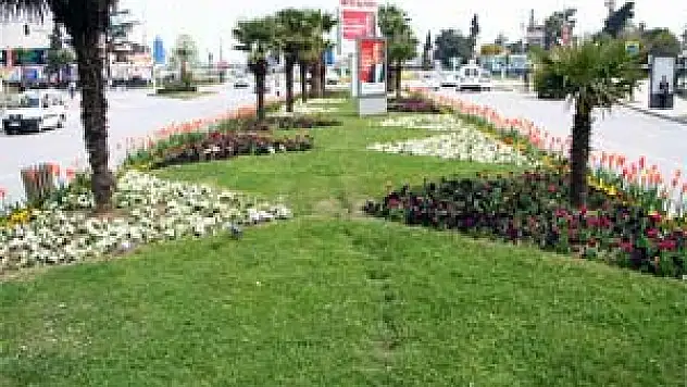 Samsun Çiçek Açtı