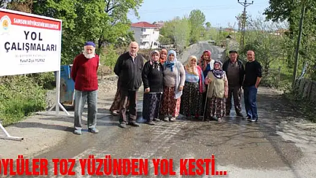 KÖYLÜLER TOZ YÜZÜNDEN YOL KESTİ...