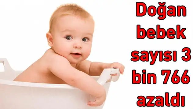 Doğan bebek sayısı 3 bin 766 azaldı
