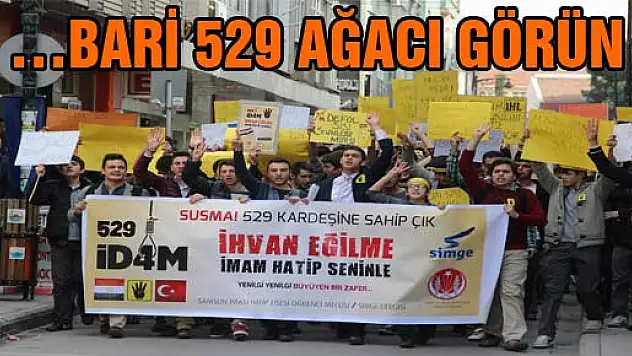 …BARİ 529 AĞACI GÖRÜN