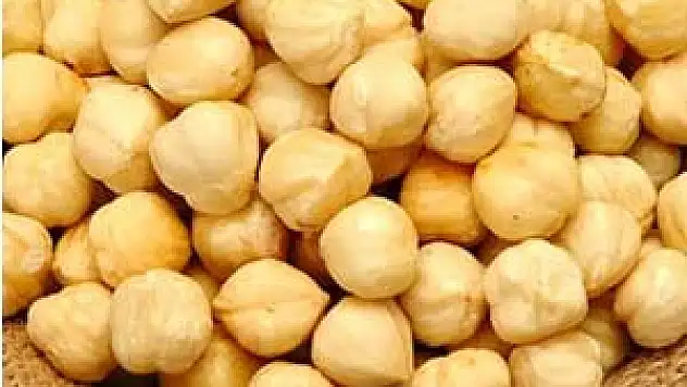 Ordu Ve Giresun'dan Fındıkta 'Afet'e 7 Maddelik Talep