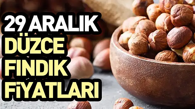 29 Aralık Düzce Fındık Fiyatları
