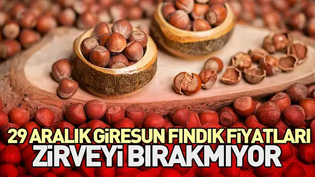 29 Aralık Giresun Fındık Fiyatları Zirveyi Bırakmıyor