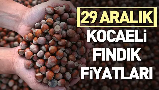 29 Aralık Kocaeli Fındık Fiyatları | Kandıra Hattı Yakından İzleniyor