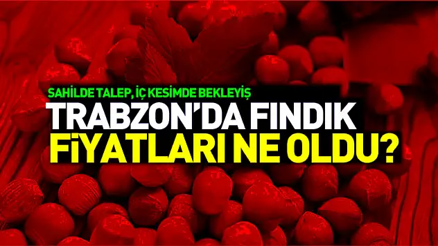 29 Aralık Trabzon Fındık Fiyatları | Sahilde Talep, İç Kesimde Bekleyiş