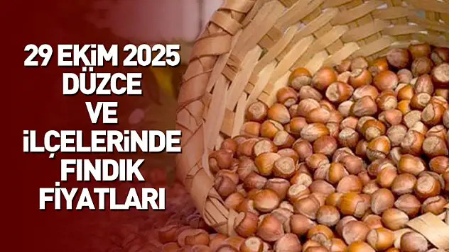 29 Ekim 2025 Düzce Güncel Fındık Fiyatları: Fındık Bugün Ne Kadar?