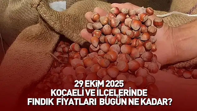 29 Ekim 2025 Kocaeli Güncel Fındık Fiyatları: Fındık Bugün Ne Kadar Oldu?