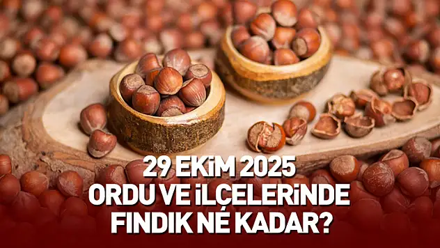 29 Ekim 2025 Ordu Güncel Fındık Fiyatları: Fındık Ne Kadar?