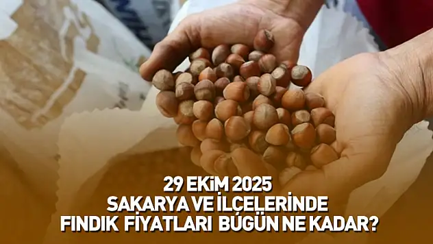 29 Ekim 2025 Sakarya Güncel Fındık Fiyatları: Fındık Bugün Ne Kadar Oldu?