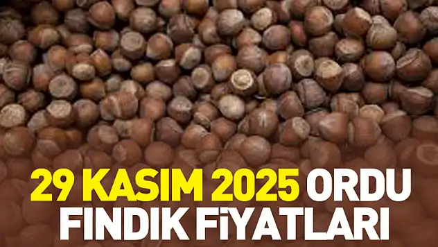 29 Kasım 2025 Ordu Fındık Fiyatları | İhracatçıların Hızlanması Piyasayı Alevlendirdi