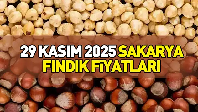 29 Kasım 2025 Sakarya Fındık Fiyatları | Yavaş Ama İstikrarlı Yükseliş Devam Ediyor