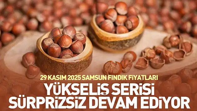 29 Kasım 2025 Samsun Fındık Fiyatları | Yükseliş Serisi Sürprizsiz Devam Ediyor