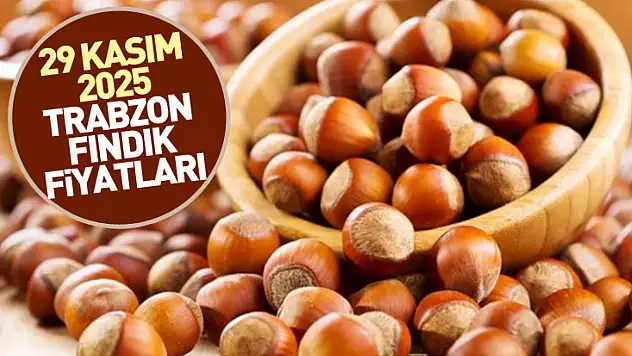 29 Kasım 2025 Trabzon Fındık Fiyatları | Dengeli Görünümün Ardında Yükseliş Baskısı Artıyor