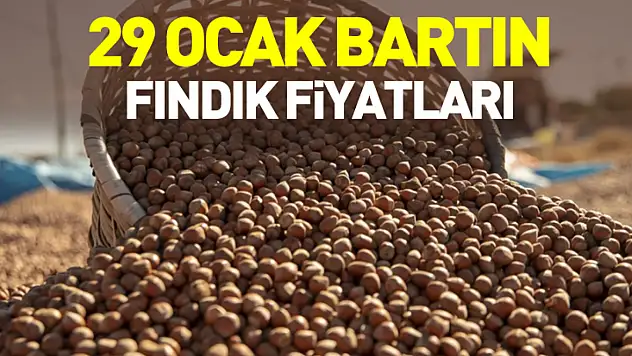 29 Ocak Bartın Fındık Fiyatları | Merkez ve İlçelerde Son Durum