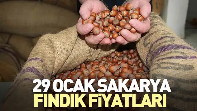 29 Ocak Sakarya Fındık Fiyatları | İlçe İlçe Güncel Liste ve Yıllık Değişim