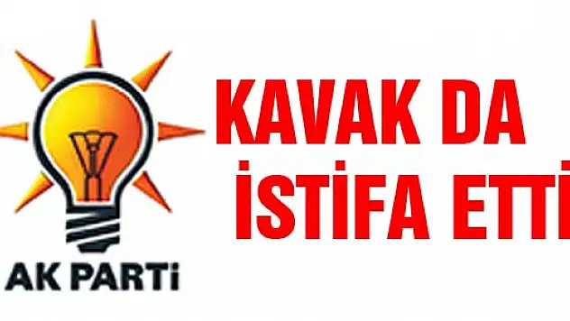 KAVAK DA İSTİFA ETTİ