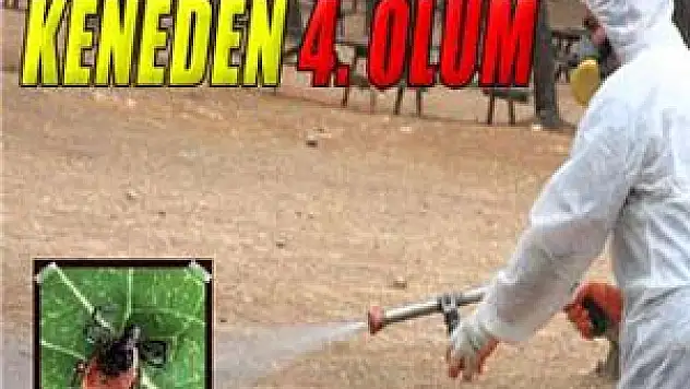 tokatta keneden 4. ölüm