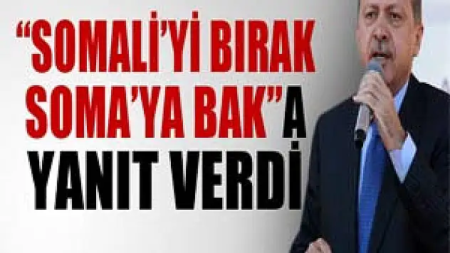 Erdoğan'dan 'Somali'yi bırak Soma'ya bak' sözlerine yanıt