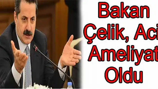 Bakan Çelik, Acil Ameliyat Oldu
